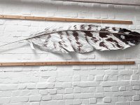 Christine Neuerburg  - Große Feder